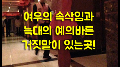 수원찬스나이트: 사랑받는 이유와 특별한 경험